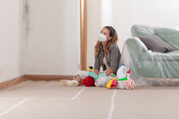 Reliable Mold Remediation contractor in Lake Holiday, VA by 24 Hour Mold Removal